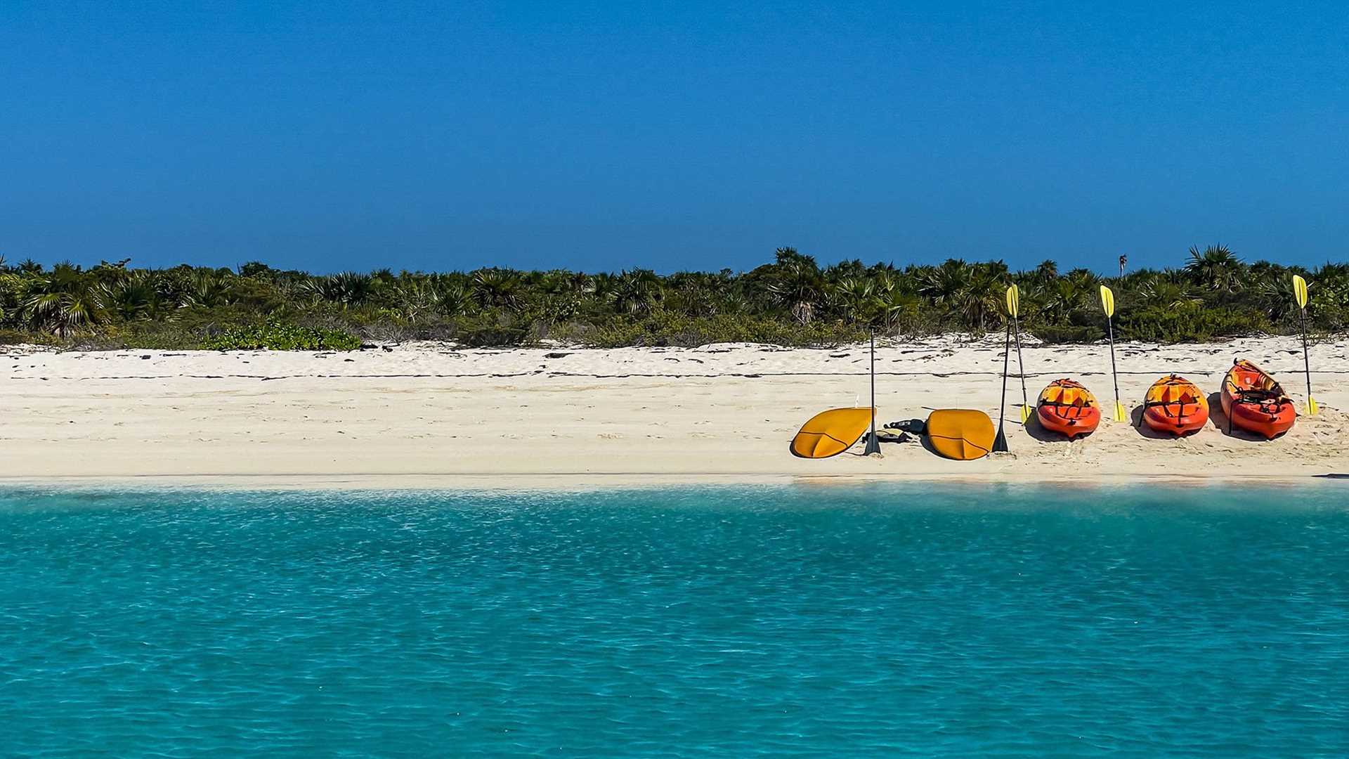 beach and paddleboards