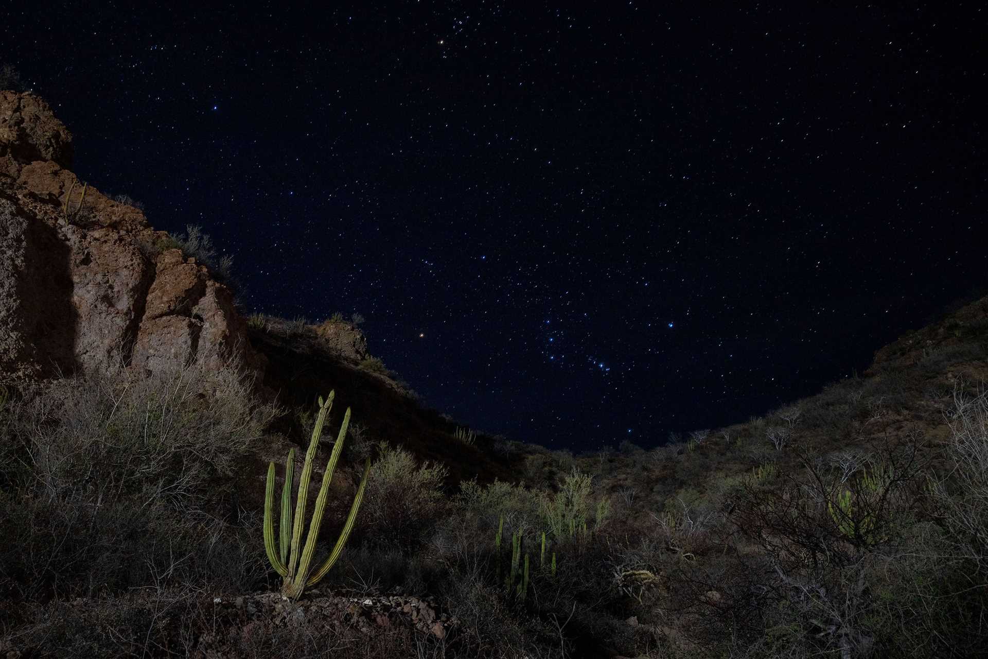 night sky in baja